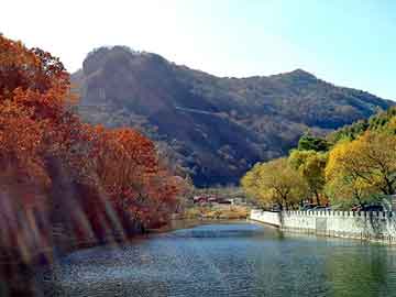 新澳门二四六天天开奖，四川日报广告部电话